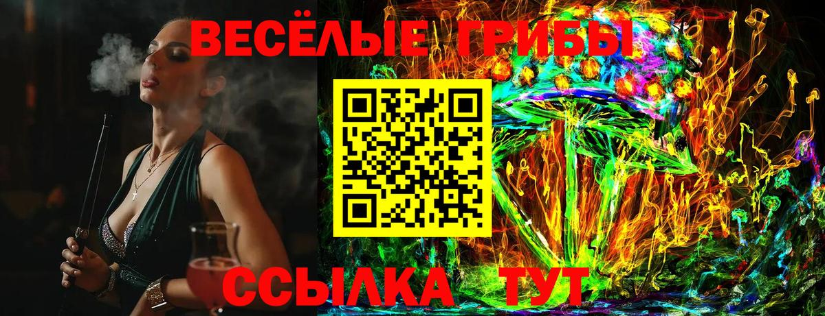 Муром  Галлюциногенные грибы прущие грибы  Вход с VPN 